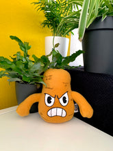 Load image into Gallery viewer, The Root Pack Plushies